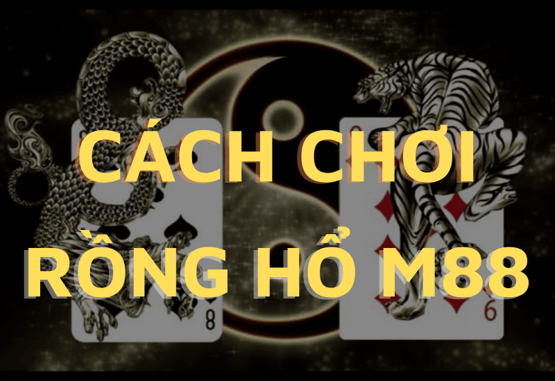 rồng hổ m88 - khám phá cách chơi mới nhất cho tân binh 1 cách chơi rồng hổ m88