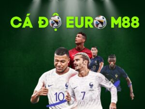 hướng dẫn tham gia cá độ euro tại m88